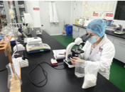 Raw Material Inspection